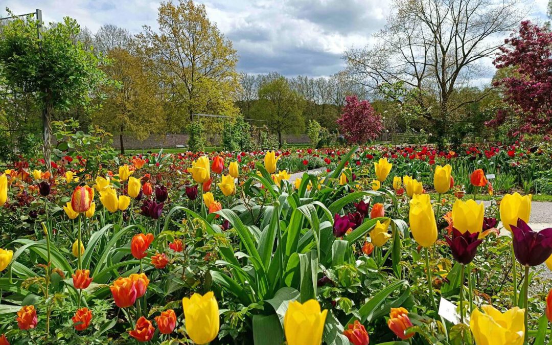 Gartenpark Höxter: Klein-Holland am Welterbe