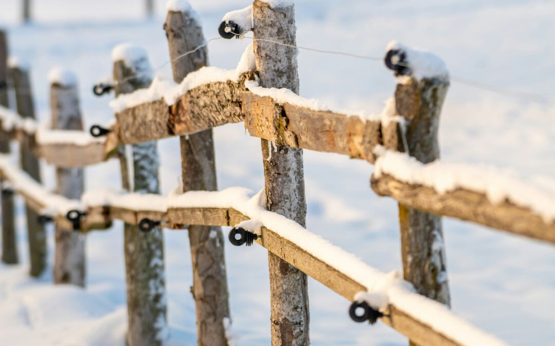 Weihnachtsreisen: Adventzauber Mariazellerbahn