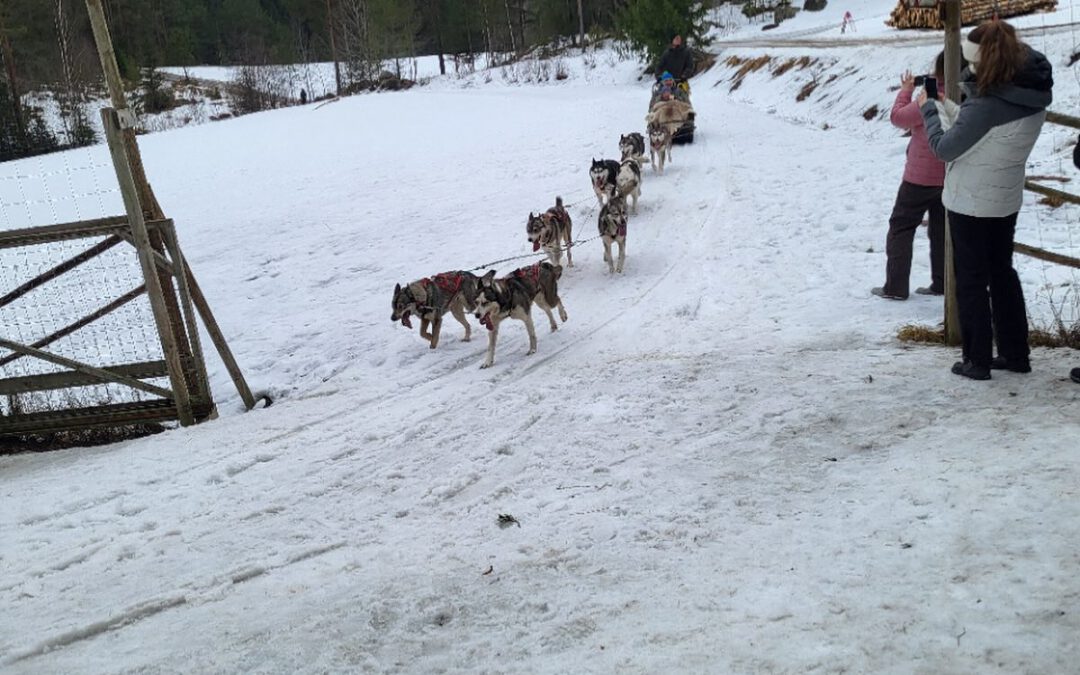 EuroBus-Leserreise: Seetag und Huskyfarm