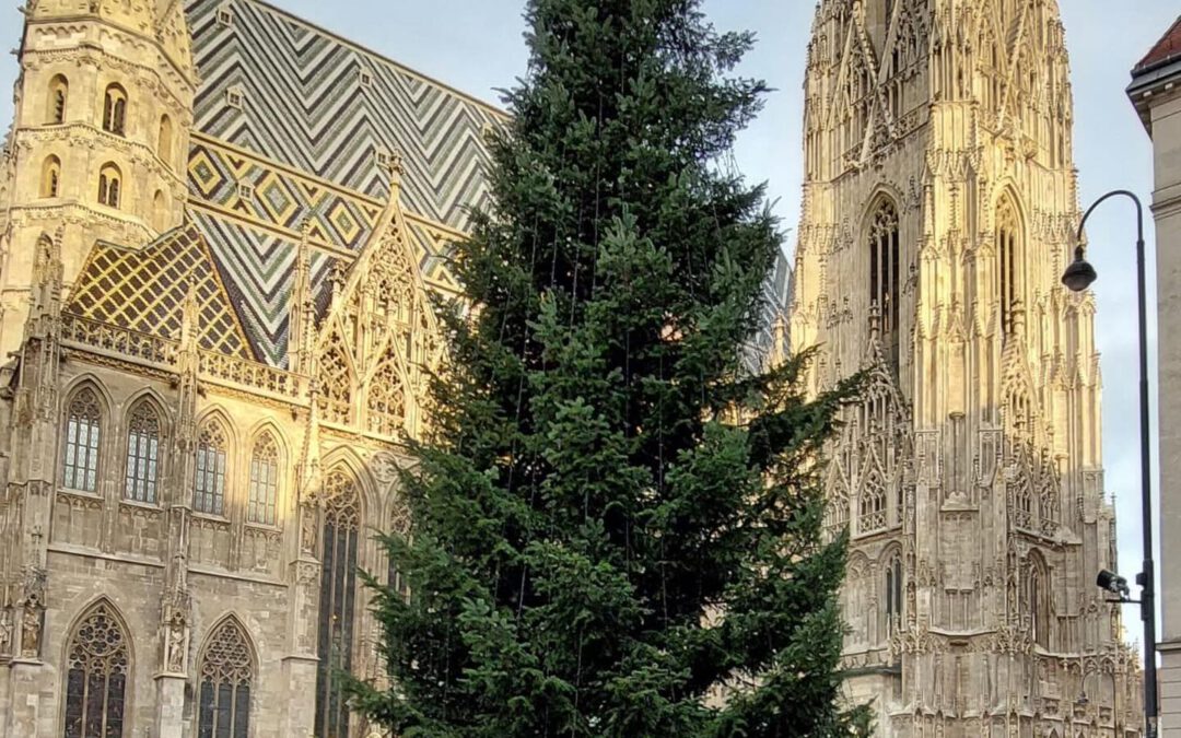 EuroBus Leserreise Live: Donaumetropolen zur Vorweihnachtszeit